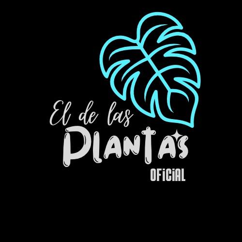 Eldelasplantasoficial El De Las Plantas Oficial TikTok