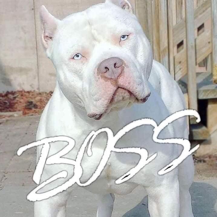 antonio87_ramirez