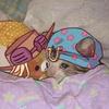 jojozba