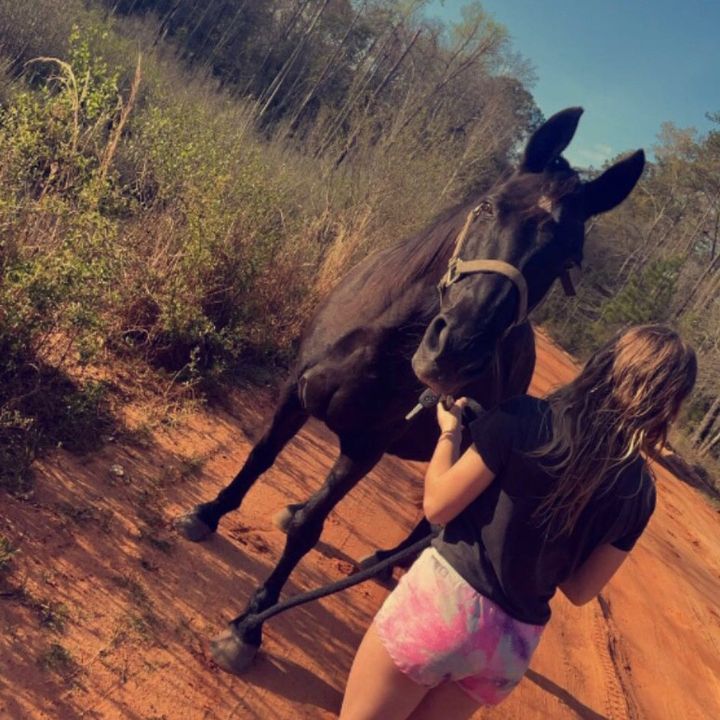 savannah_shayy