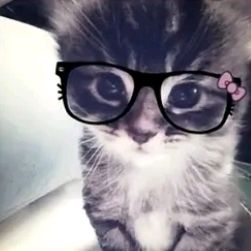 chloedluvsu
