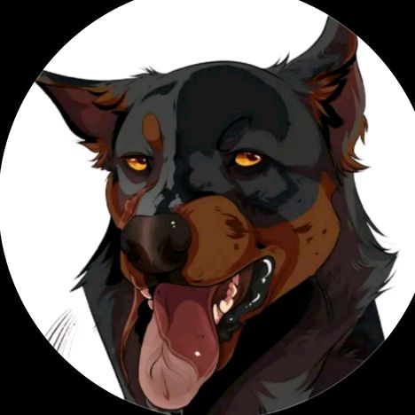_doberman_bruno_