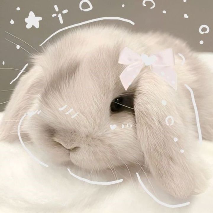 strawberry._.bunnies