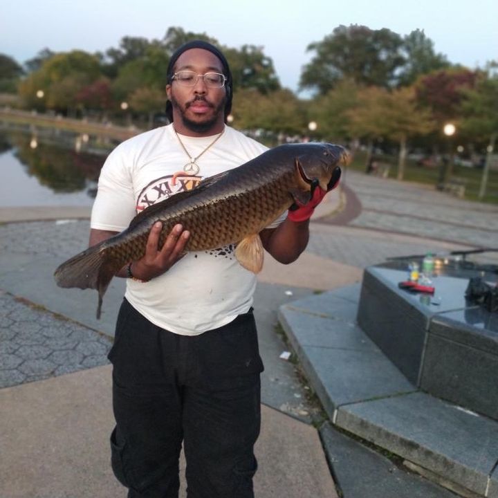 nyccarpsinthepark