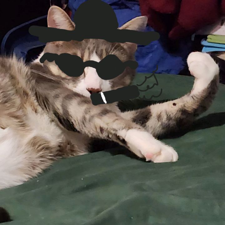 noellesshenanigans