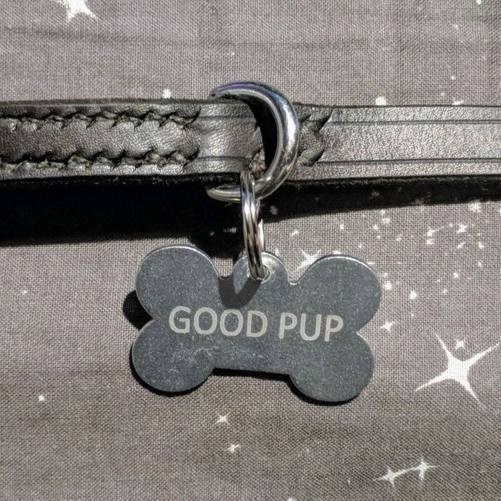 sugar_puppy006