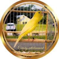 Canary 1.20 1