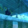 kakashi11520