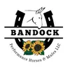 Kendra Bandock - @bandock_horses_mules - TikTok
