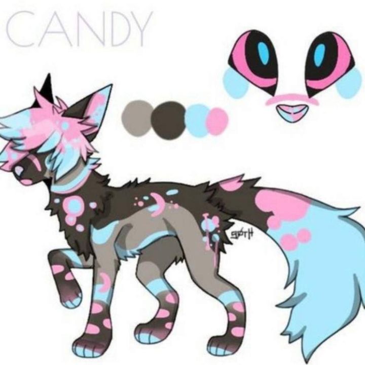alpha_pup.zuckerwatte22