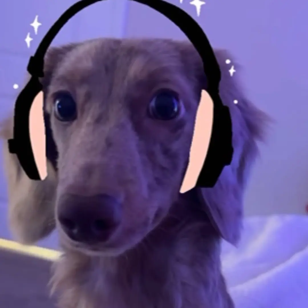zuuzu's avatar