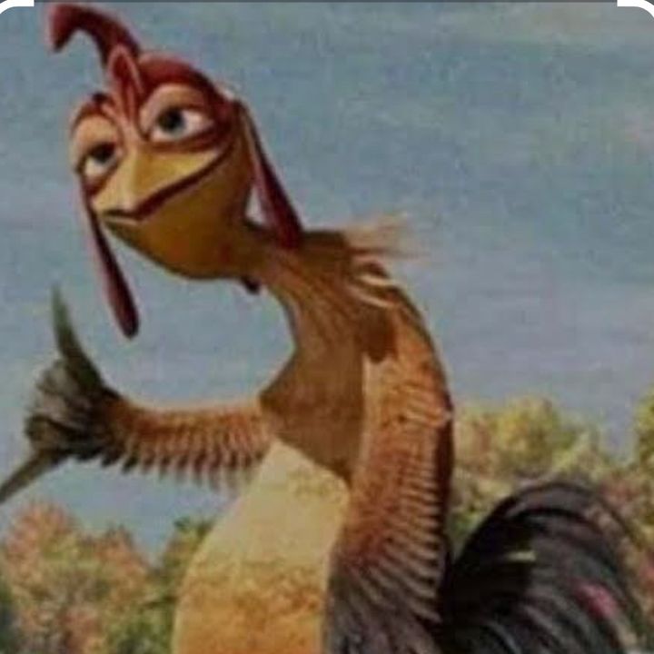 the_pollo18