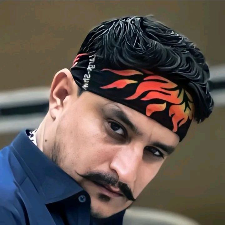 cheeta_452
