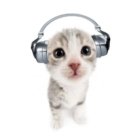 whatsthatsound