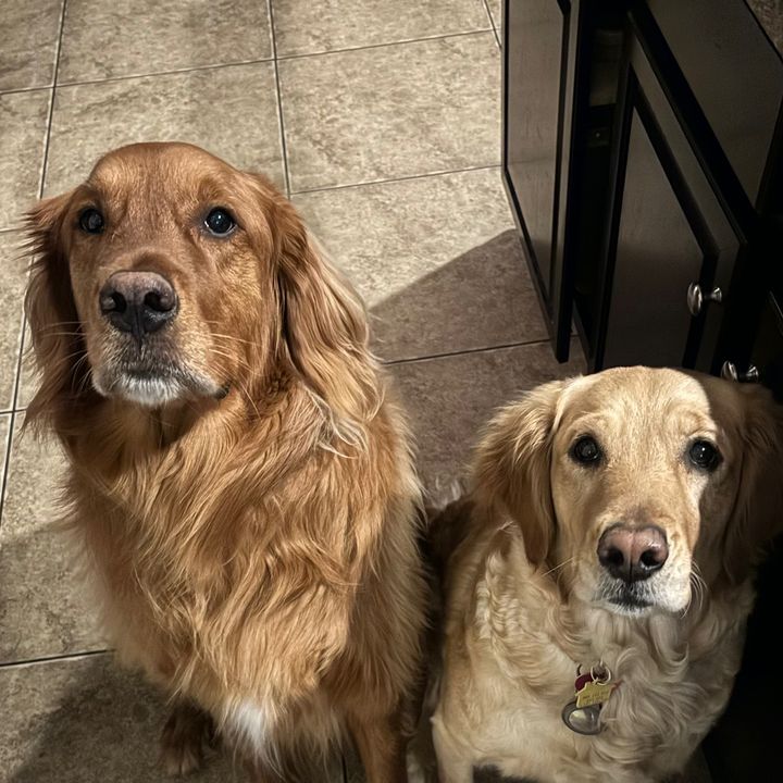 cosmoanddolly