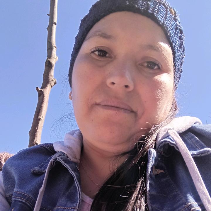 elvia.23_