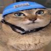 milkysauce_