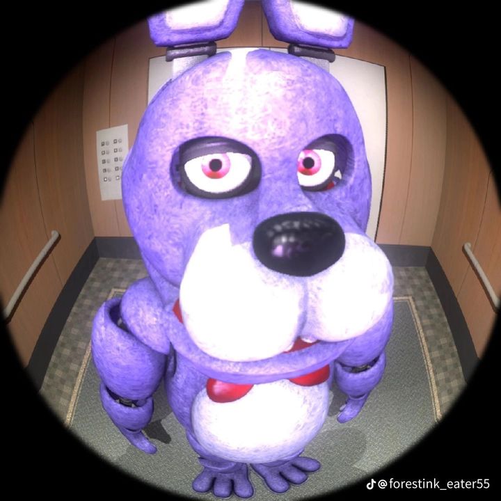 alwxwxwx