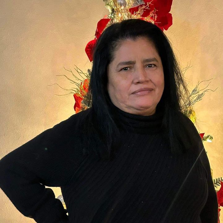 judith67782