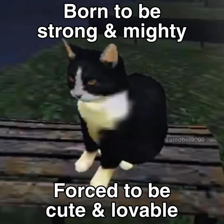 Can i help you? 🤨 #nohands #gyat #fyp saltykitten (@saltykitten2)